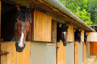 free Higham Common stable construction quotes